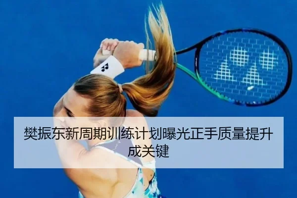樊振东新周期训练计划曝光正手质量提升成关键